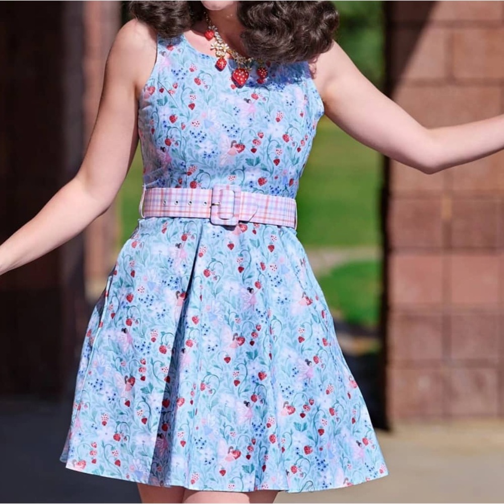 Retrolicious Strawberry Fairy Skater Dress Large